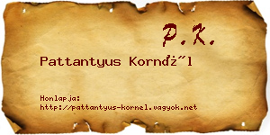 Pattantyus Kornél névjegykártya